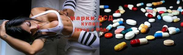 хмурый Арсеньев