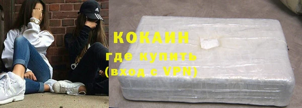 шишки Армянск