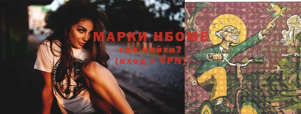 хмурый Арсеньев