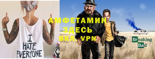 хмурый Арсеньев